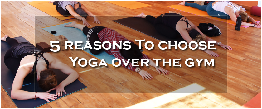 5 Reasons to Choose Yoga over the Gym