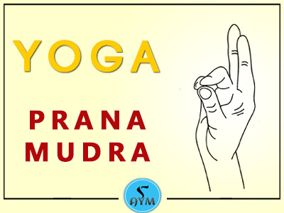 Prana Mudra