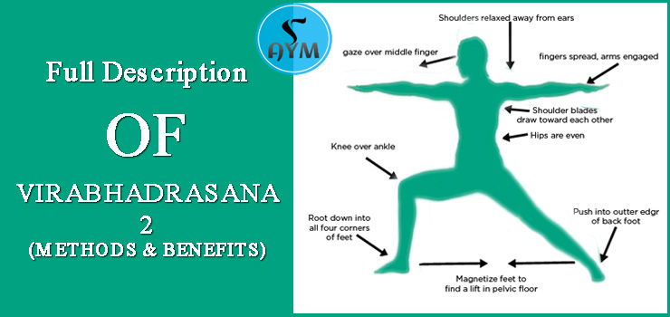 Description of virbhadrasana 2