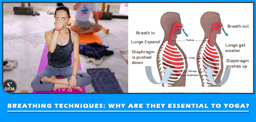 breathing techniques why are they essential to yoga