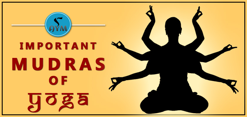 Important mudras of yoga