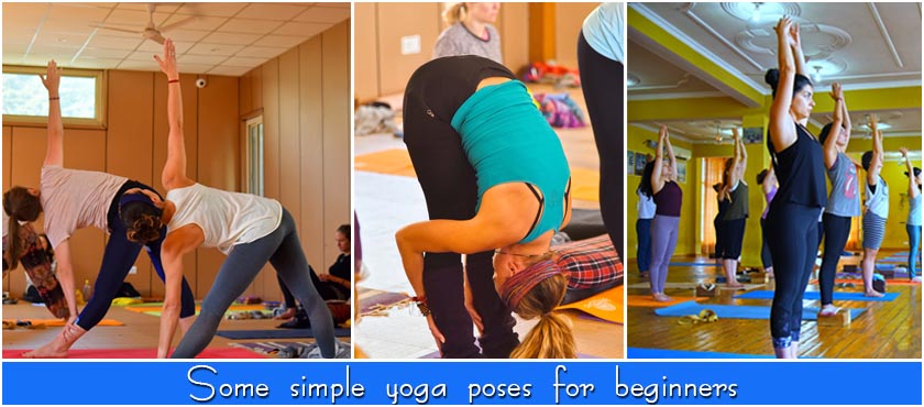 simple yoga poses for beginners