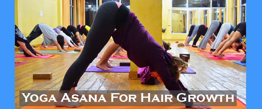 Yoga Asanas for Better Hair Growth & help Accelerate Hair Growth