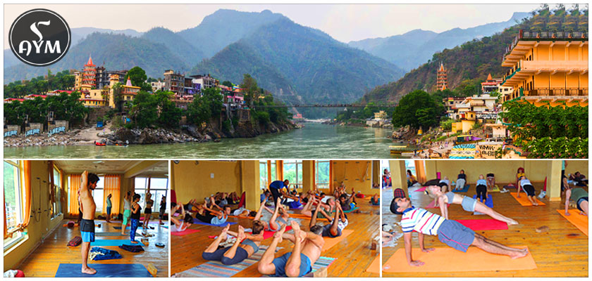 Yoga teacher training course in india