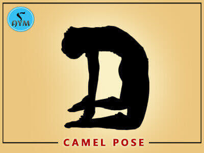 Camel pose