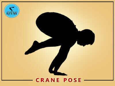 Crane pose