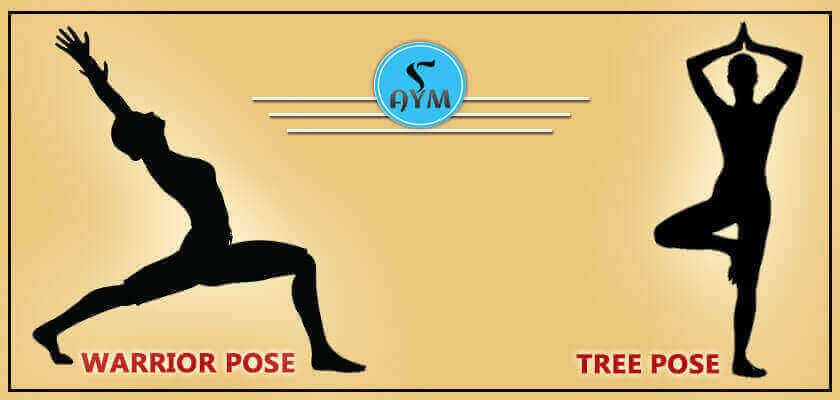 Yoga Asanas (Poses) Root Chakra Chart - 75 WBG-P