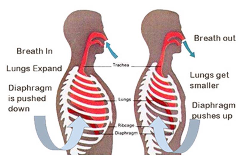 breathing techniques why are they essential to yoga