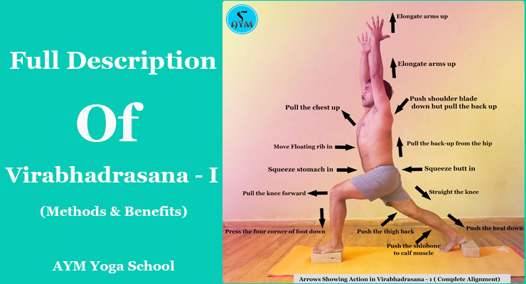 Description of virbhadrasana1