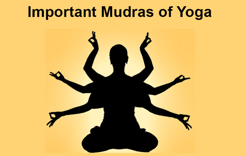 Important mudras of yoga