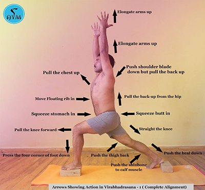 What are the benefits of Warrior 1 pose in Yoga? |