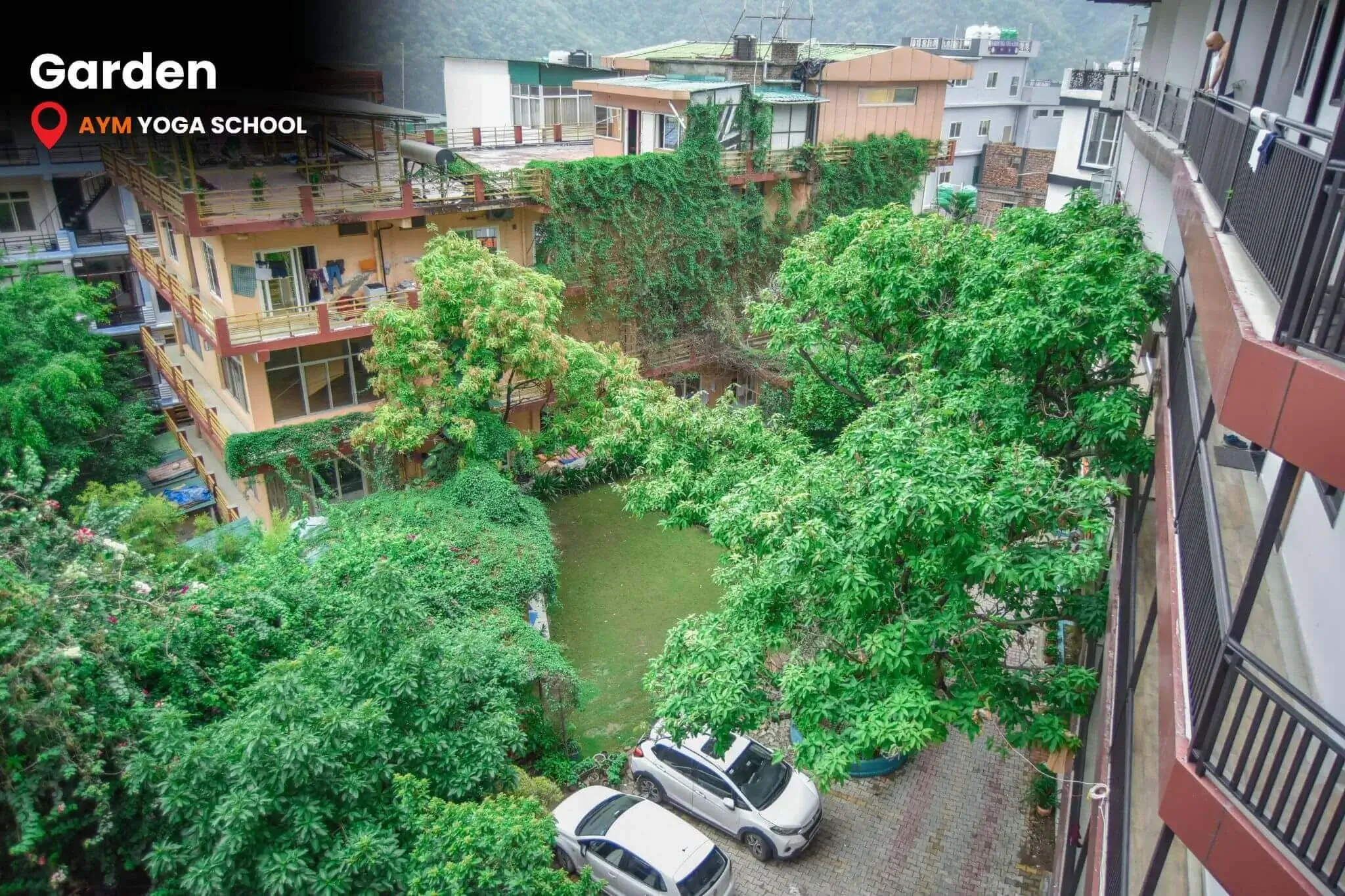 Serene garden view at AYM Yoga School Rishikesh