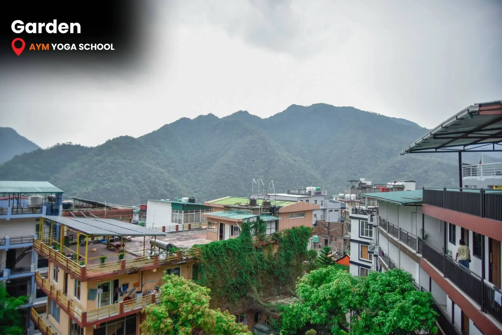 Garden view at AYM Yoga School in Rishikesh
