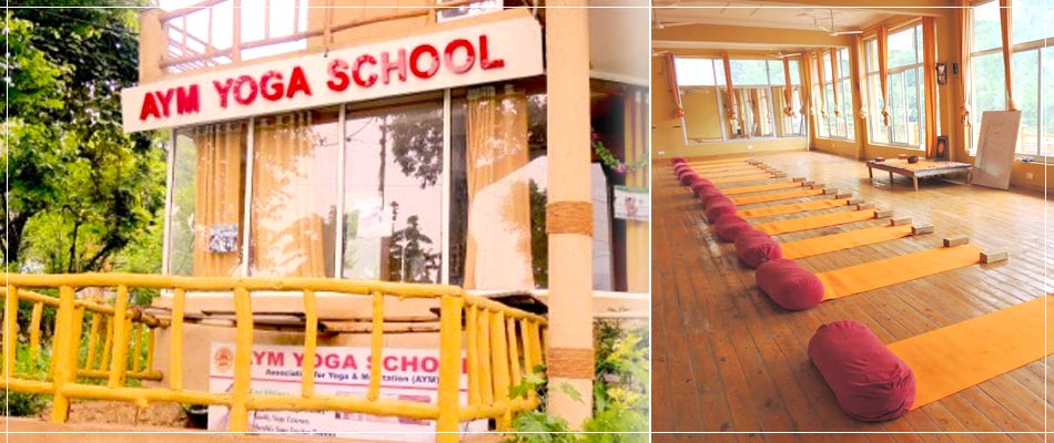 Yoga School in Rishikesh, India