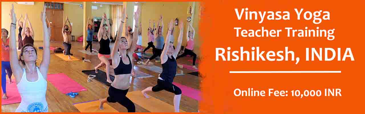 vinyasa yoga teacher training india