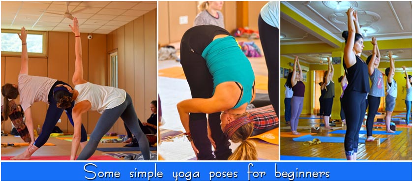 What are some simple yoga poses for beginners?