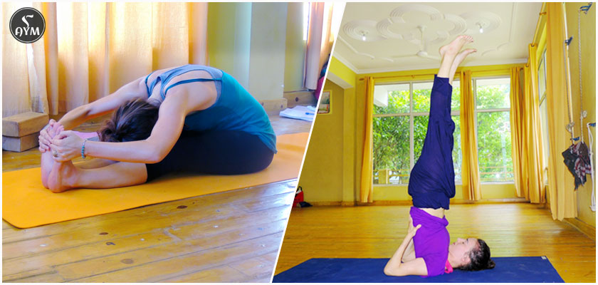 Yoga for Increasing Concentration and Memory