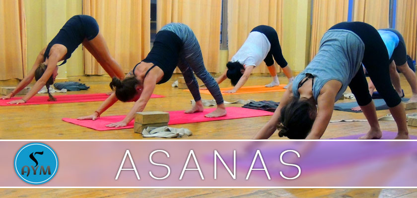 Introduction of Asana - Asana Class in Rishikesh