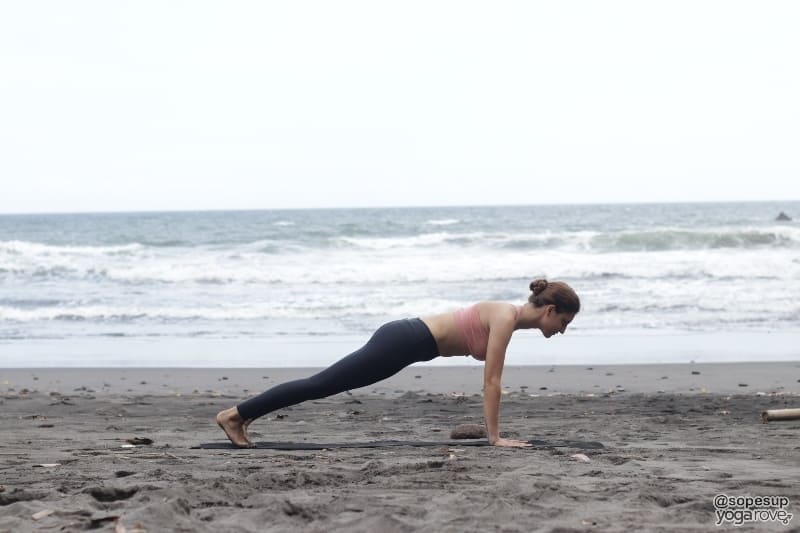 Plank (Dandasana)