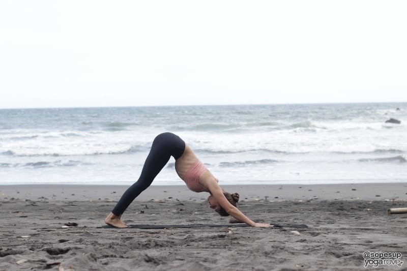 Downward Facing Dog (Adho mukha śvānāsana)
