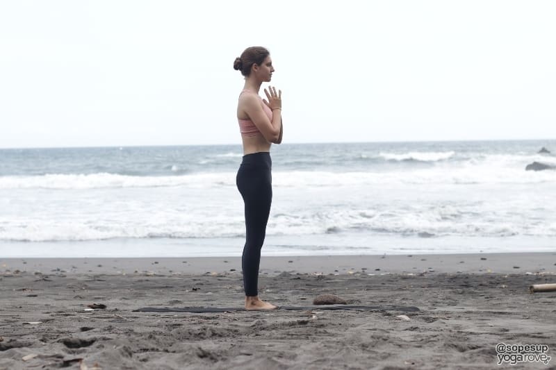 Prayer Pose (Pranamasana)