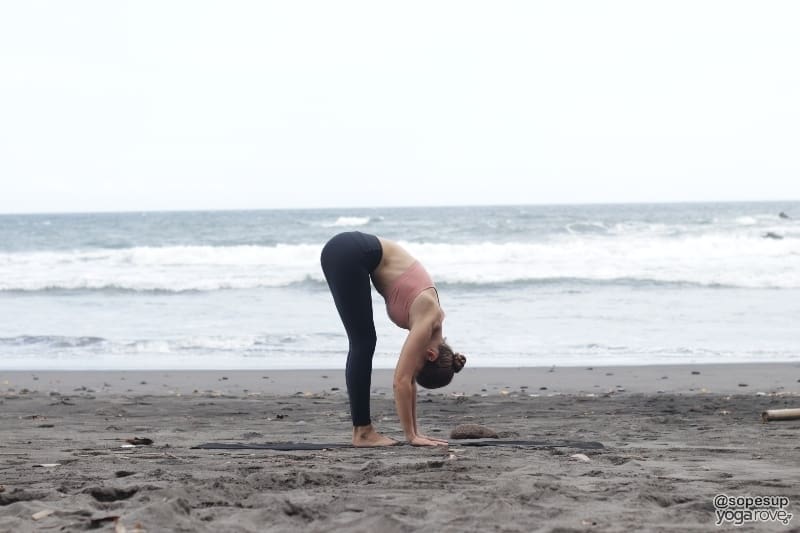Standing Forward Bend (Hasta Padasana)